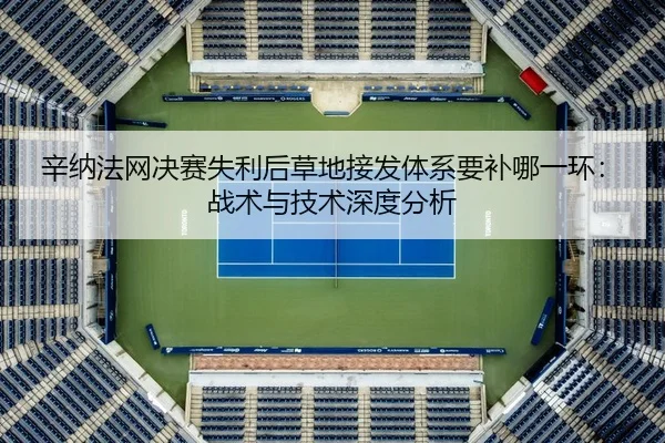 辛纳法网决赛失利后草地接发体系要补哪一环：战术与技术深度分析